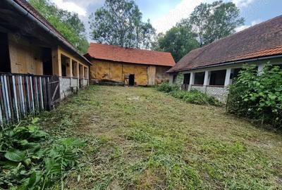 Casa batraneasca + teren Cralovat(Timis) - 3