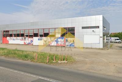 Showroom + hala | 5,100 mp teren Aradul Nou - 1