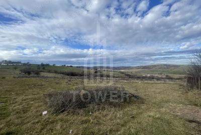 Teren de 1800 mp, în Roșia - 8