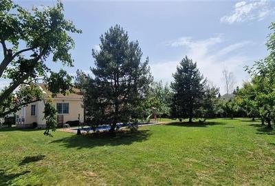 Inchiriere casa Balotesti, 9 camere, 420mp, Piscina, intretinere inclusa in pret - 5
