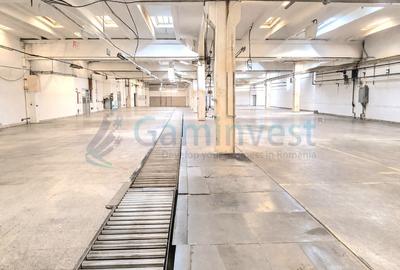 Spațiu industrial, de 10,000 mp, în Centura - 1
