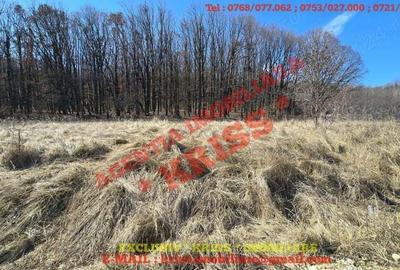 Teren de 847 mp, în Central - 5