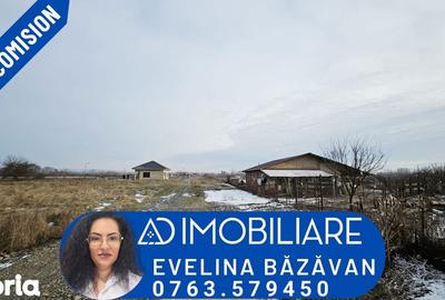 Teren de 1275 mp, în Turcinești - 1