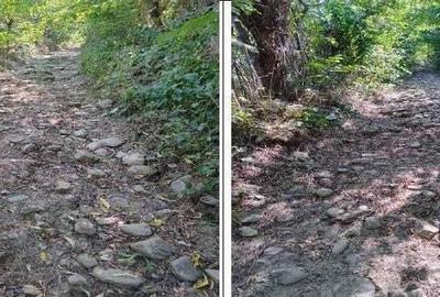 Teren Buciumeni, ID: R2431873 - 2