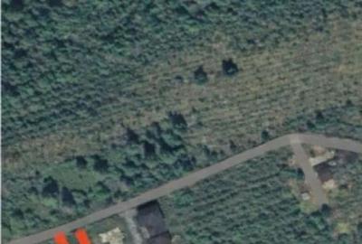 Teren de 4000 mp, în Tăuții-Măgherăuș - 2