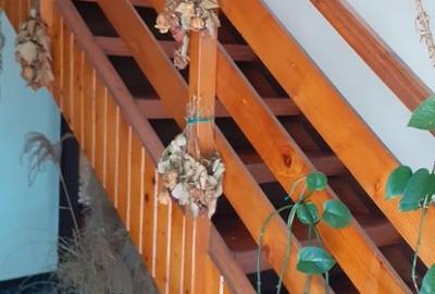 Casă cu 4 camere cu Teren 710 Mp în Central - 4