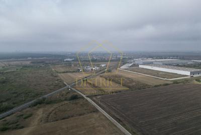 Teren Construcții extravilan de 25000 mp, în Dumbrăvița - 3