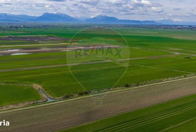 Spațiu comercial, în Lunca Mărcușului - 10