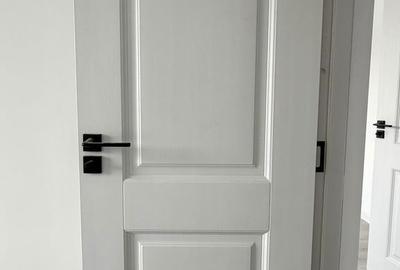 Apartament cu 2 camere decomandat în Vișan - 4