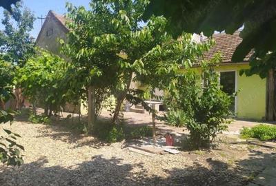 Casă cu 3 camere cu Teren 765 Mp în Grădiște