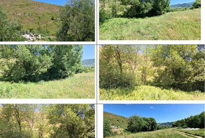 Teren 5000 mp, Loc. Sieu, Jud Maramures - 1