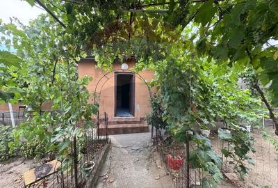 Casa / Vila cu 4 camere de vanzare in zona Brestei - 3