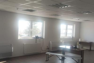 Hala zona de nord Buftea - 6