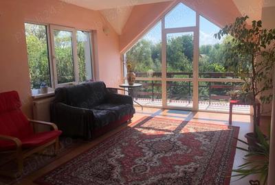 Casa spa?ioasa cu 7 camere in Stupini - Bra?ov - 6