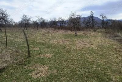 Teren de 3037 mp, în Marga - 2