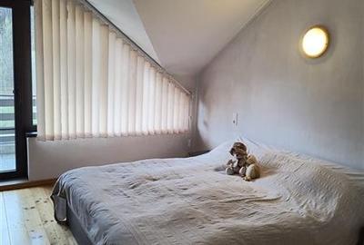 Oportunitate! Casa deosebita cu 2980 mp teren in Vulcan, Brasov - 7