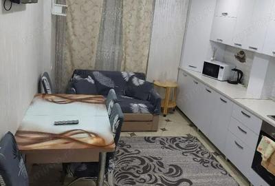 Garsonieră în Elisabetin - 1