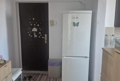 Apartament cu 2 camere semidecomandat, mobilat în Nicolae Grigorescu - 2