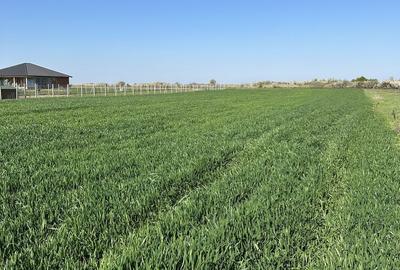 Spațiu comercial, în Gepiu - 3