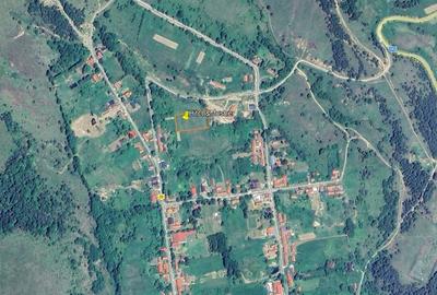 Teren Construcții intravilan de 3939 mp, în Brebu Nou - 5