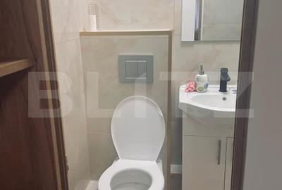 Garsoniera de vanzare, 16 mp, mobilata in stil modern, zona Nicolina - 14