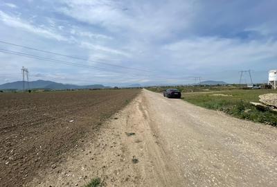 Teren Sanpetru str. Sfantul Andrei 32.100mp ! - 3