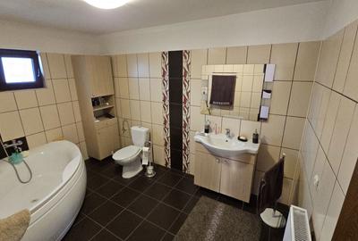Casă cu 4 camere în Ologeni - 15