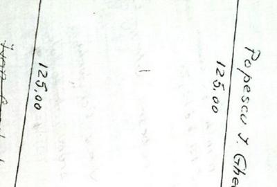 Teren Centura 10000 mp Concesiune Str Bujorului New 2025 - 1