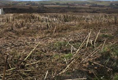 Teren intravilan, 5000mp, Siret - 4