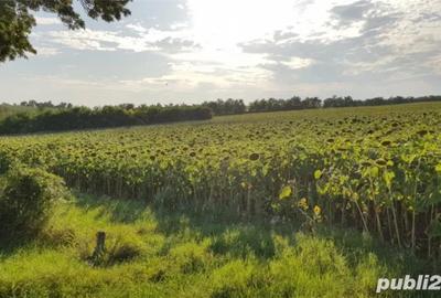 Teren de 45000 mp, în Central - 3