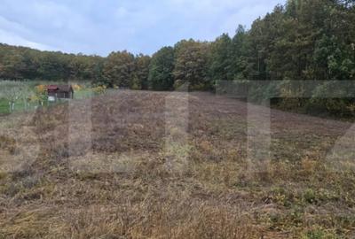 Teren de 2882 mp, în Bejan - 4