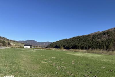 Spațiu comercial, în Plaiul Foii - 2