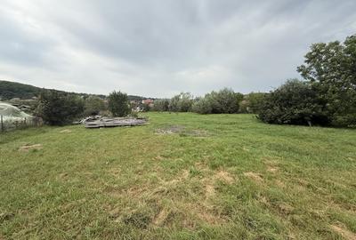 Teren Construcții intravilan de 2900 mp, în Dezmir - 1