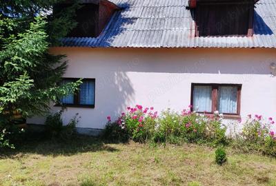 Teren de 800 mp, în Beliș - 1