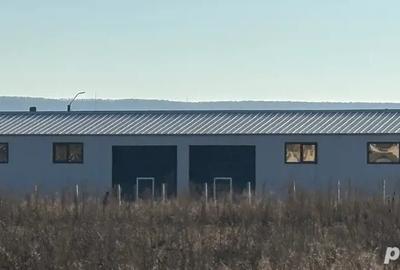 Hala si teren Titesti Arges - 1