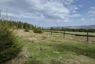 Teren de 1190 mp, în Mărișel