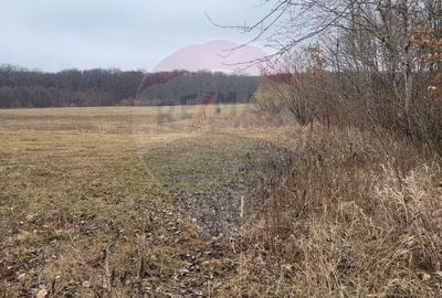 Teren agricol intravilan de 2592 mp, în Lipoveni - 21