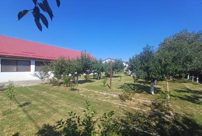 Spatiu comercial/Hotel - 5