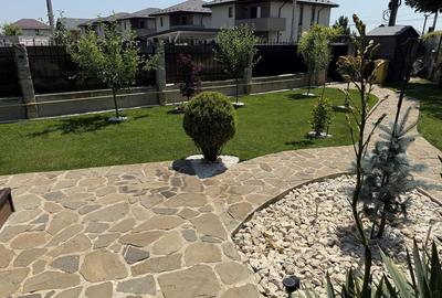 Casă cu 3 camere în Păulești - 1