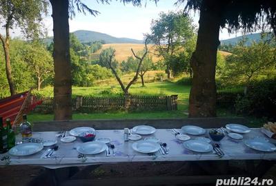 Casă cu 6 camere în Brebu - 5