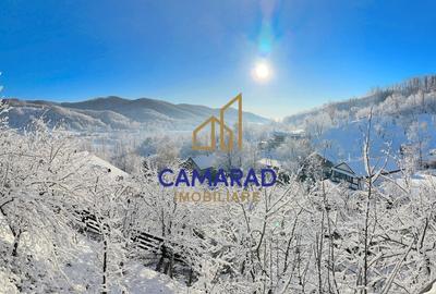 Casă individuală cu 4 camere cu Teren 2377 Mp în Provița de Jos - 1
