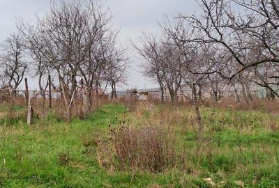 Teren de 2450 mp, în Hidiș - 1