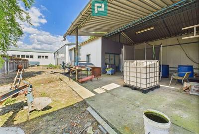 Casă cu 4 camere cu Teren 1510 Mp în Cenad - 15