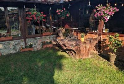 CASA\VILA DE VANZARE \COM. OBREJA\SAT IAZ\CARA?-SEVERIN - 27