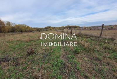 Teren Construcții intravilan de 4967 mp, în Bălești - 3