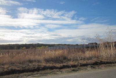 Teghes-Caragea Voda - 7