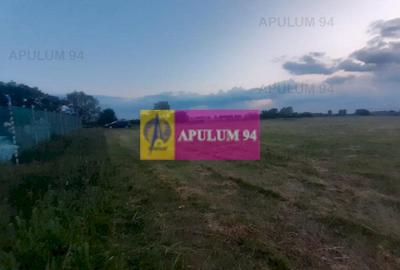 Teren Construcții intravilan de 3820 mp, în 1 Decembrie - 20