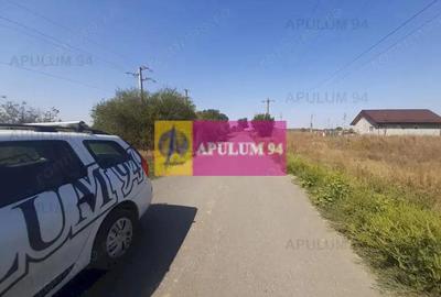 Teren de 1300 mp, în 1 Decembrie - 5