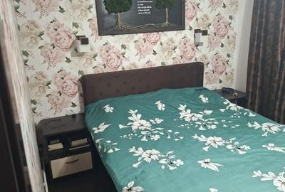 Apartament cu 2 camere semidecomandat, mobilat în Podu Roș - 2