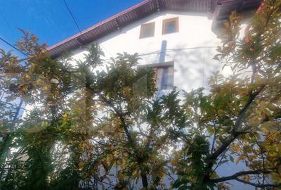 Casa-VILA deosebita ,mobilata plus toate facilitatile - 16